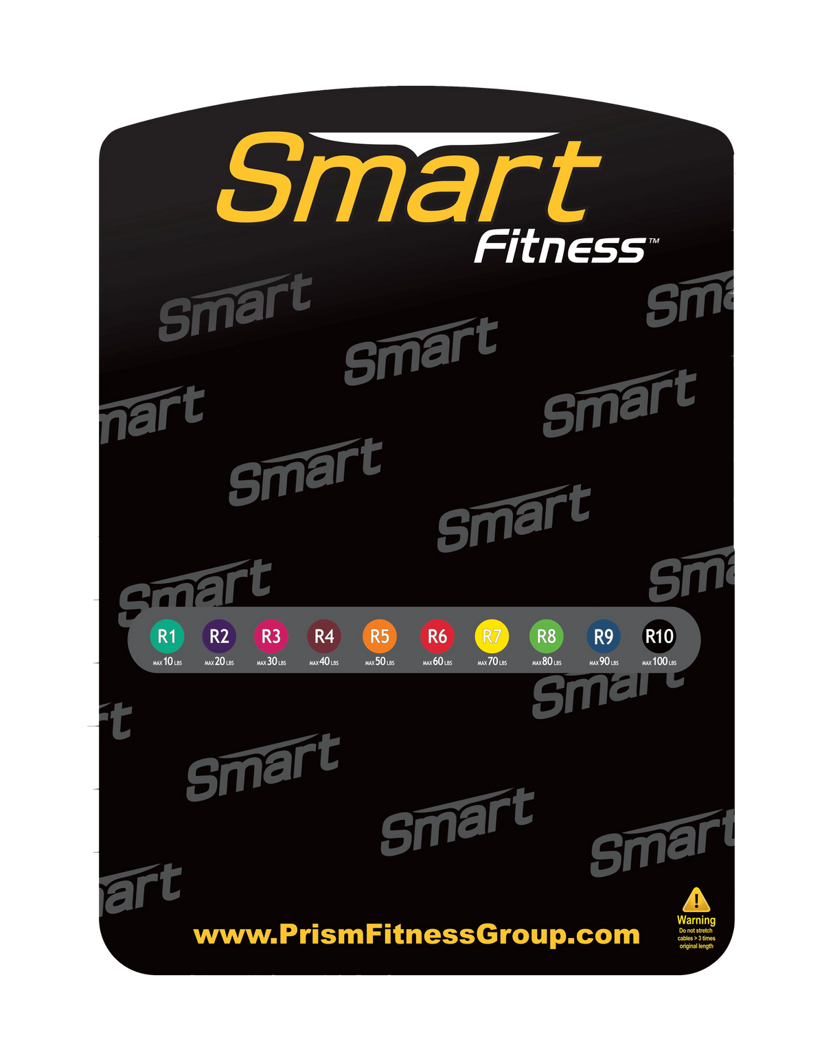 Prism Fitness Smart Resistance Caddy (Caddy Only) view of resistance options | Fitness Experience
