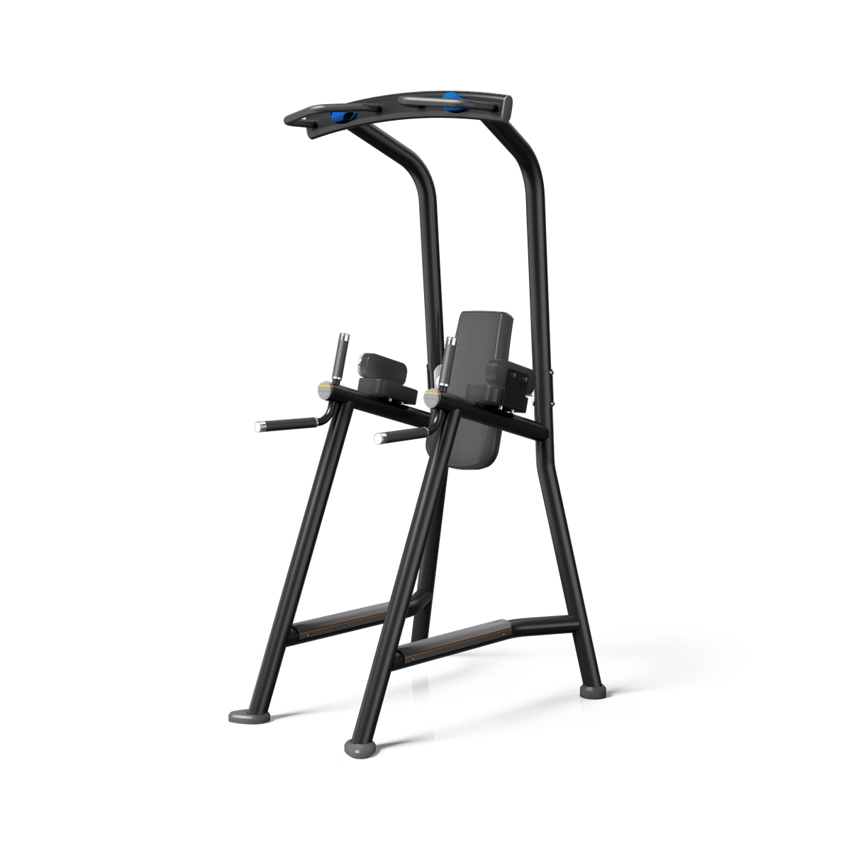 Matrix Magnum Pro Dip / Leg Raise / Chin up