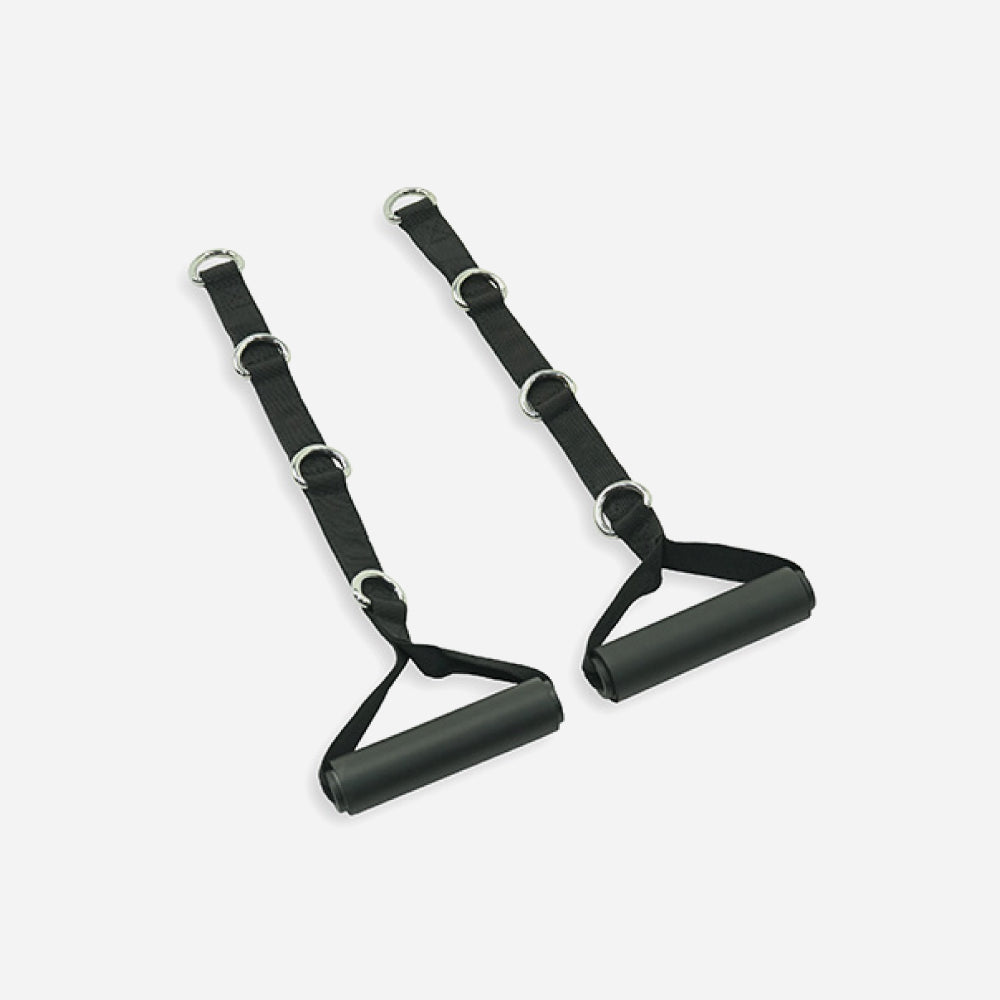 Inspire Fitness Multi-Ring D Handles full view | Fitness Experience