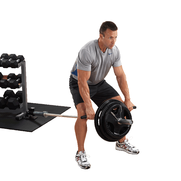 Body-Solid TBR10 T-Bar Row Platform with bar and weights attached | Fitness Experience