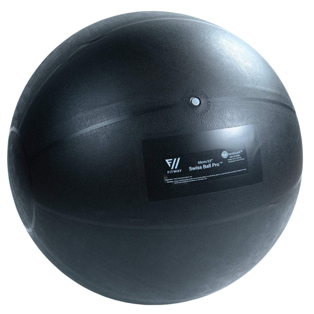 FitWay Equip. 55cm FitWay Stability Ball - Fitness Experience