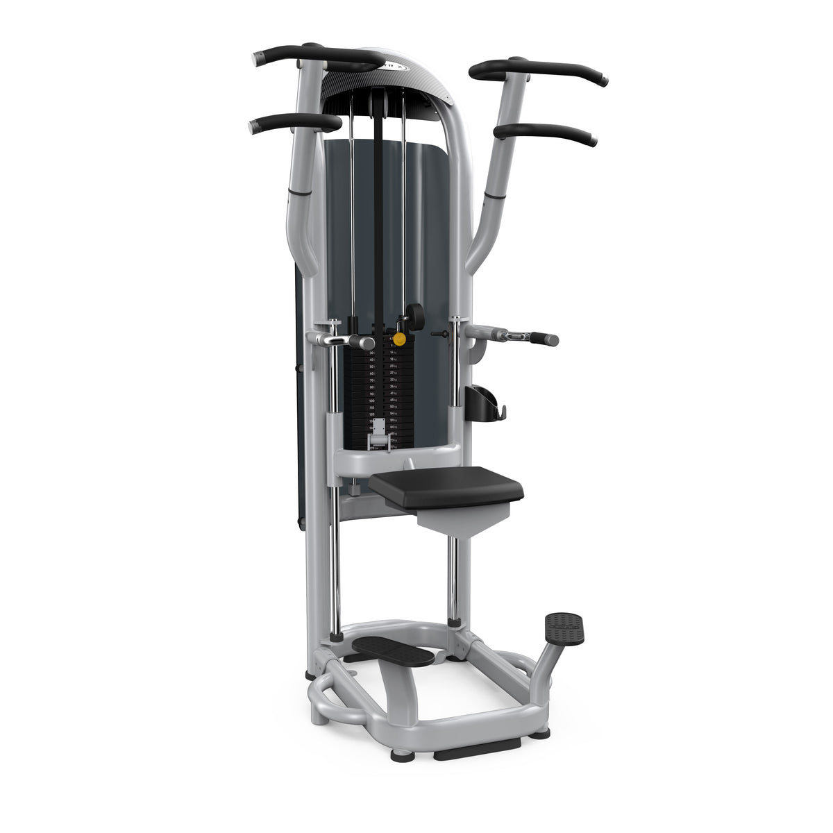Matrix FItness Aura Dip / Chin Assist | Fitness Experience