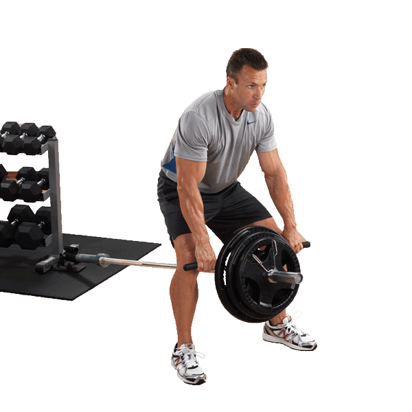 Body-Solid TBR20 T-Bar Row Platform with attached bar and weight plates | Fitness Experience